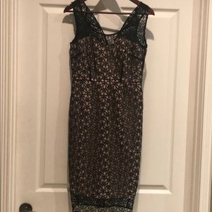 NWT Ann Taylor cocktail Dress.